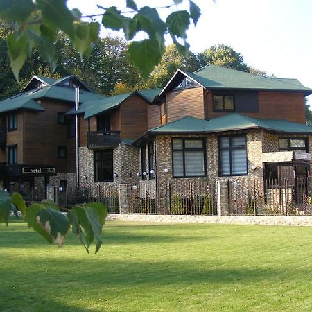 Hotel Hillden Lodge&Restaurant Drumu Carului Экстерьер фото