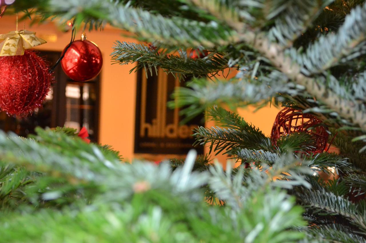 Hotel Hillden Lodge&Restaurant Drumu Carului Экстерьер фото